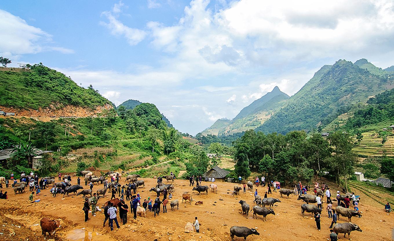 bac-ha-can-cau-market-1