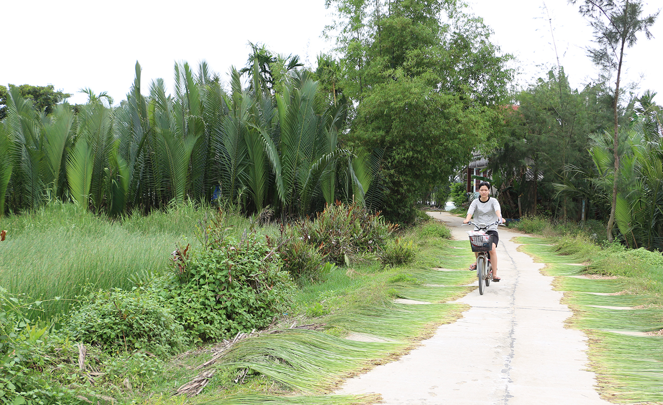 hoi-an-tra-nhieu-2-9