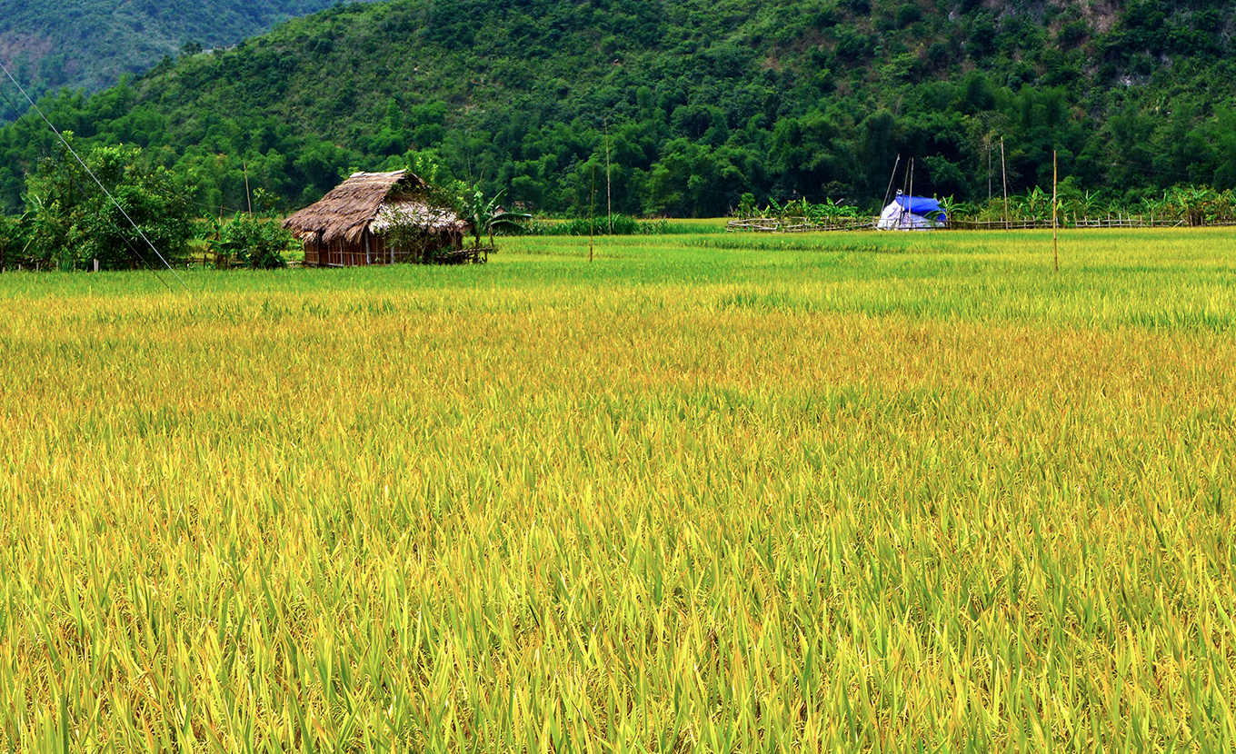 mai-chau-lac-village-2