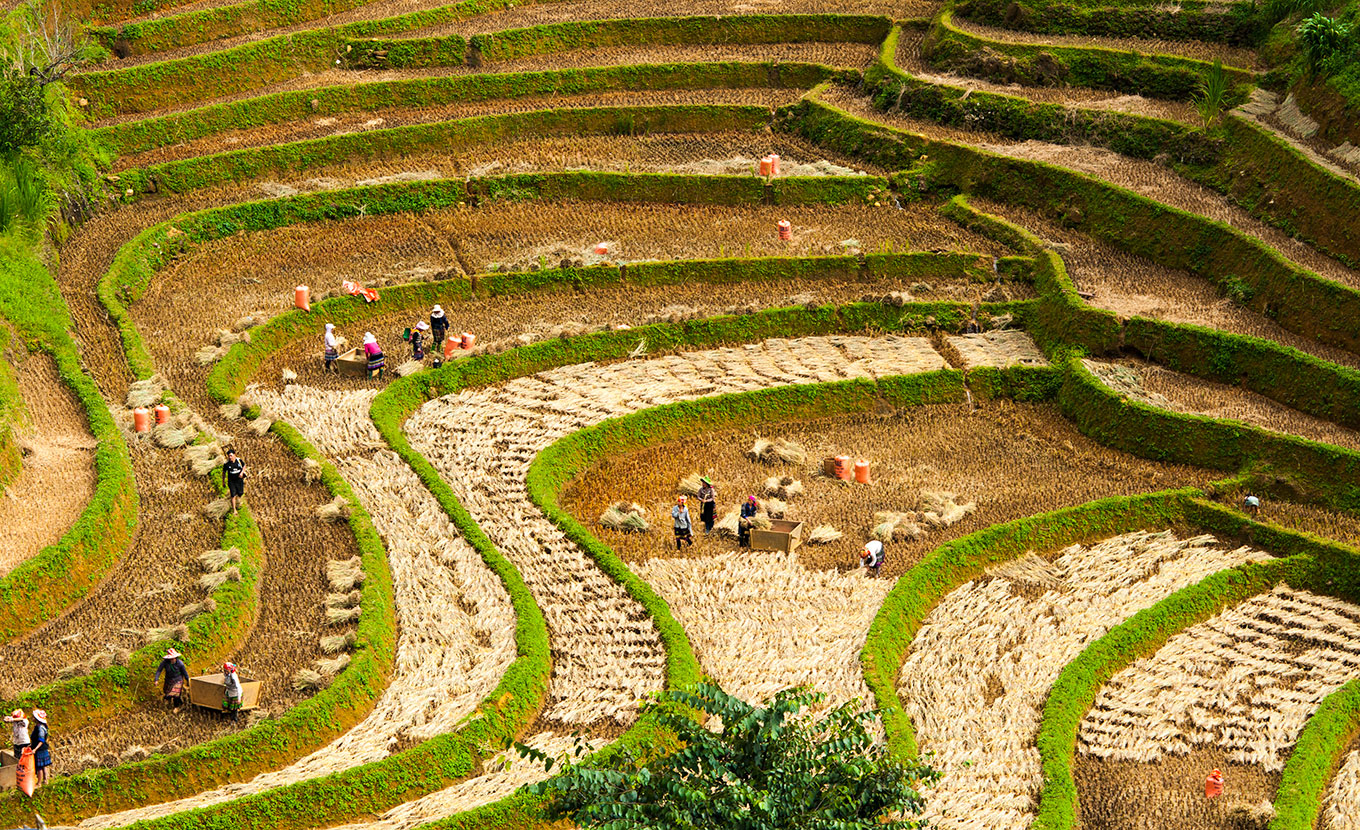 mu-cang-chai-la-pan-tan-2