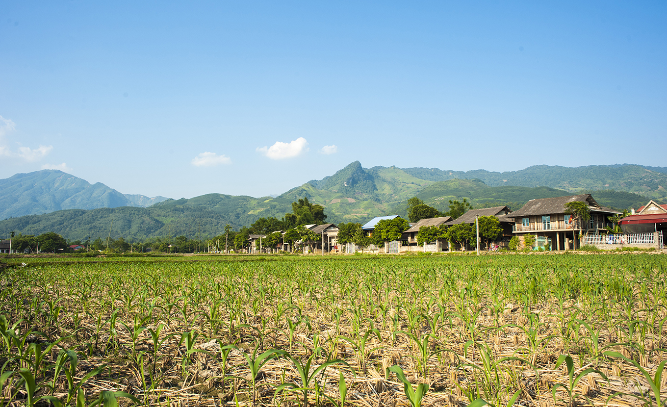 nghia-lo-muong-lo-2-3