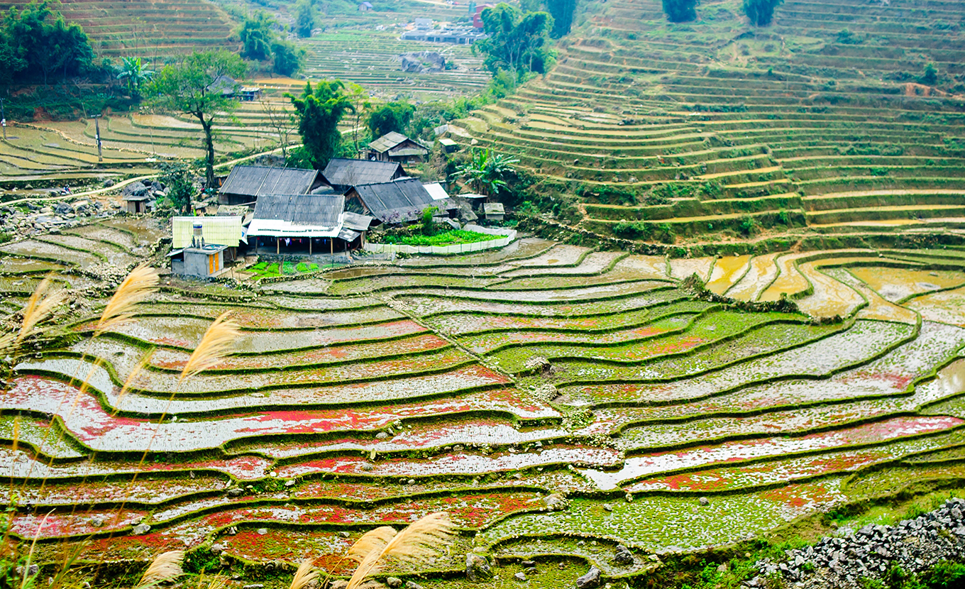 sapa-lao-chai-village-1-5