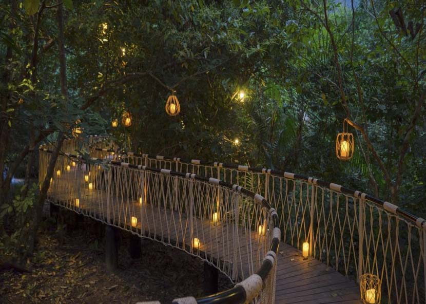 avana-retreat-bridge avana retreat bridge