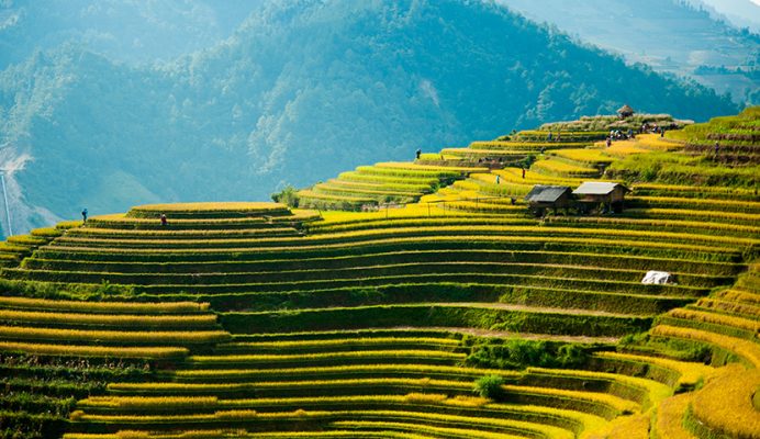 Best time to visit Vietnam