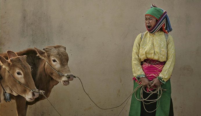 Colorful life in the mountain of Vietnam