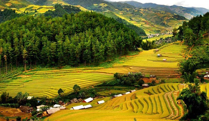 pu-luong-the-rice-season pu-luong-the-rice-season