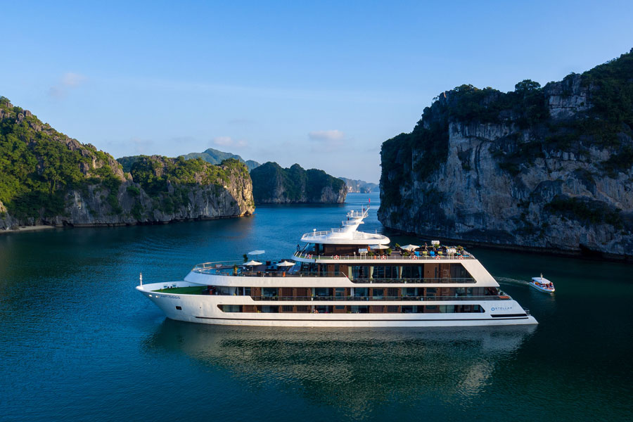 Stellar of The Sea Cruise