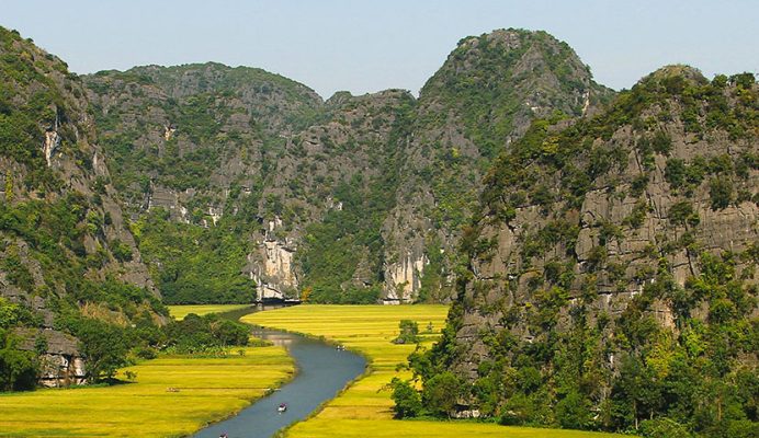 Transfer to Ninh Binh